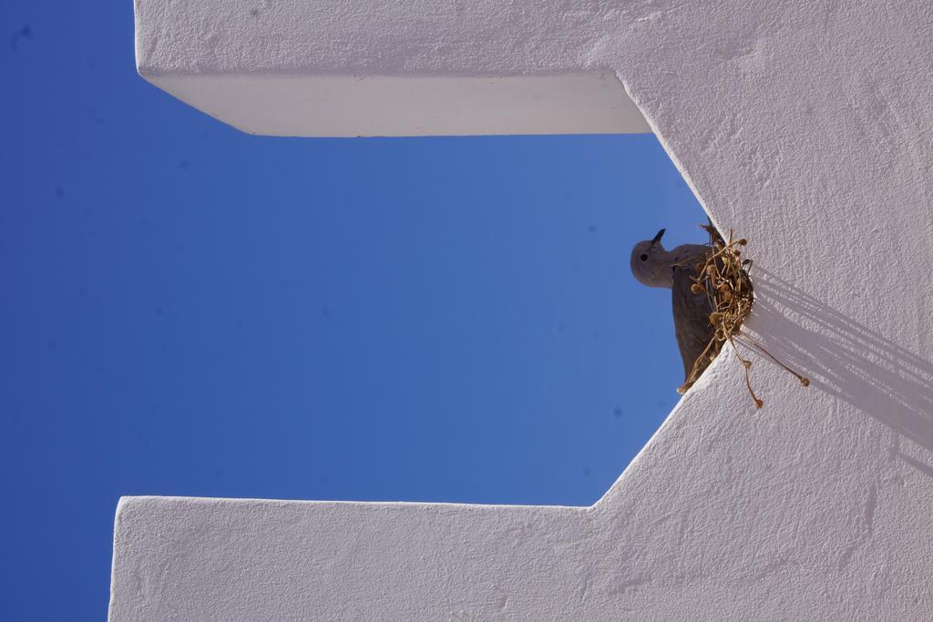 Riad Ksar El Jadida Maroc Dış mekan fotoğraf